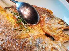 香煎黄花鱼-海鲜e族(五江天街店)