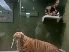 -国家自然博物馆