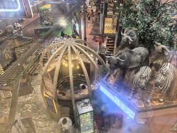 -卡通尼·Safari非洲探索乐园·生日会(金桥国际商业广场店)