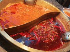 -小龙坎火锅(春熙太古里店)