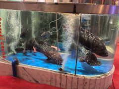 -惠食佳(滨江大公馆店)