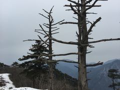 -湖州龙王山景区