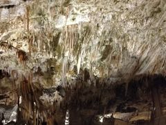 -波斯托伊纳溶洞