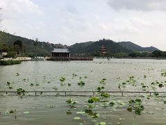 -顺峰山公园