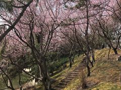 -团结湖公园