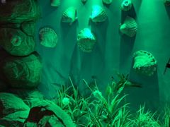 -烟台海昌鲸鲨海洋公园