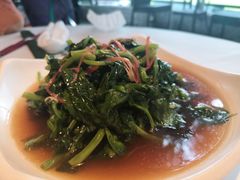 碎炒芝麻菠菜-申粤轩酒楼·三十年粤菜经典(丁香花园店)