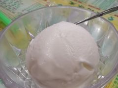 椰子雪糕单球-顺记冰室(宝华路店)