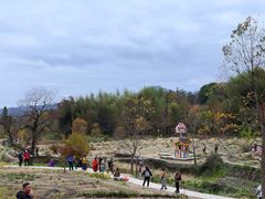 -塔川景区