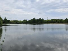 -东平国家森林公园