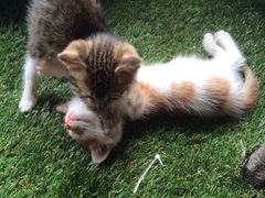 iphone_upload_pic-赢吧Bliss音乐酒吧