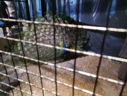 -酷嗒动物文化乐园(cutezoo西溪乐天城店)