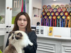 -青奢宠物·青奢猫舍