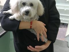 -美联众合动物医院·24h转诊中心