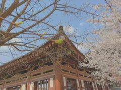 -西安青龙寺遗址景区