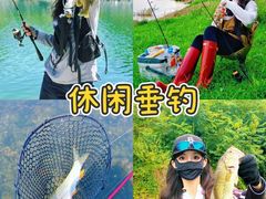 -上海山野camping·户外天幕烧烤·团建拓展营地