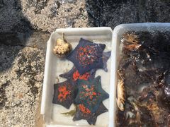 -青岛第三海水浴场