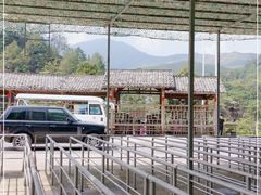 -大余丫山旅游度假区