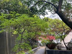 -峙山公园