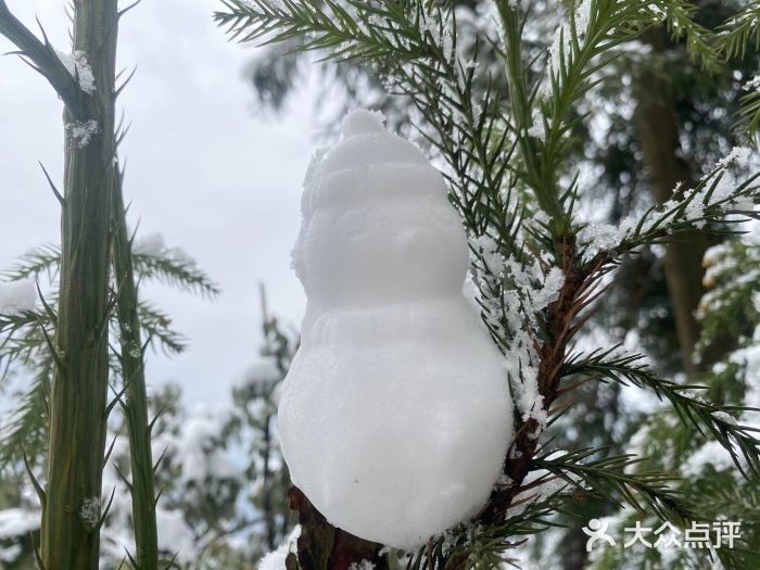 太阳湾风景区图片