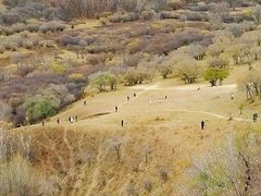 -塞罕坝国家级自然保护区