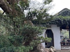 -惠山古镇·寄畅园