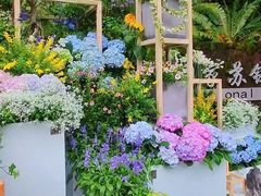 -深圳仙湖植物园