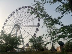 -顾村公园