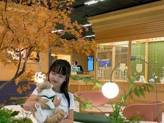 -帕帕拉兹宠物(亚洲旗舰店)