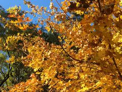 -伊隆斋(什刹海店)