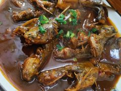 昂刺鱼-宾湖农庄·农场特色(太湖龙之梦店)