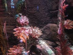 -沈阳海洋探索中心