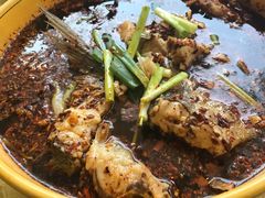-吴记迎风楼北渡鱼