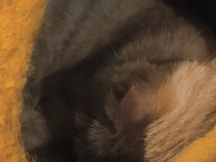 -懒鱼时光馆(沙坪坝店)