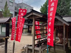 -医王山·飞騨国分寺