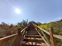 -大岭沟猕猴桃谷风景区