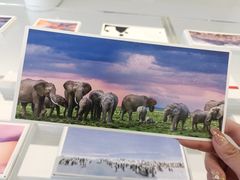 -罗红摄影艺术馆