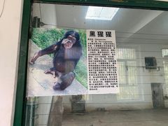 -新疆天山野生动物园