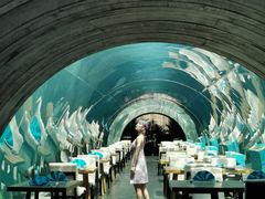 -涛·海底餐厅·美人鱼·自助餐·海底隧道(三亚海棠湾洲际度假酒店)
