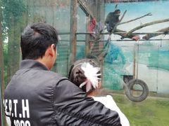 -昆明动物园