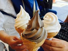 -升恒昌免税商店(台北松山机场店)