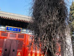 -北京艺术博物馆(万寿寺)
