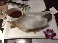 -翅爷家煲仔翅