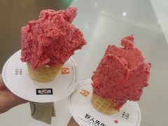 -野人先生现做冰淇淋(北京王府井东方新天地店)