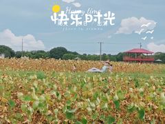 -嘉北郊野公园
