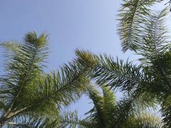 -演武大桥观景平台