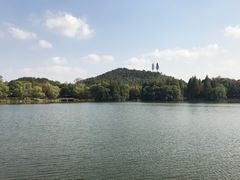 -良渚君澜度假酒店·中餐厅