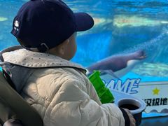 -海合安武汉极地海洋公园