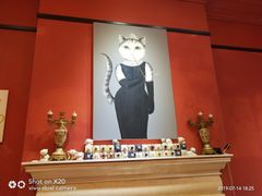 -猫色咖啡·猫咖