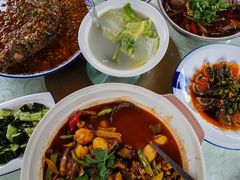 -高坎一品甲鱼庄(两河店)